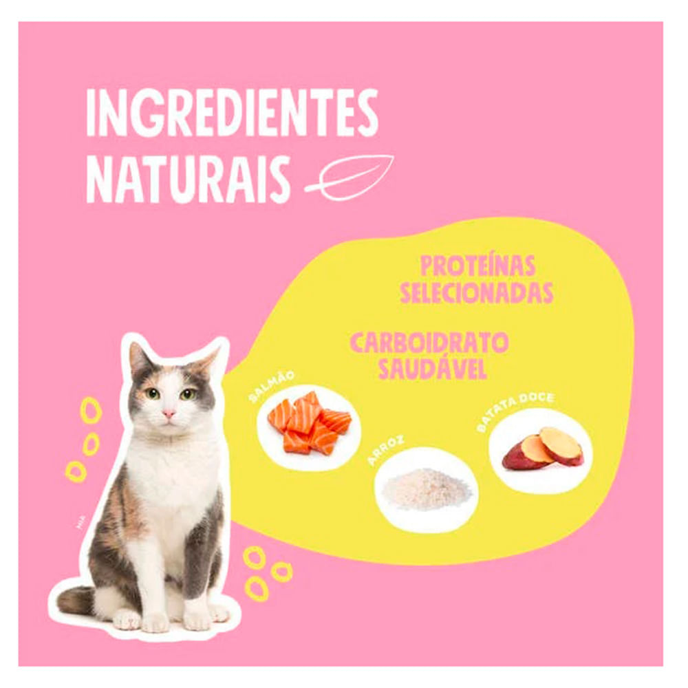 Foto-do-produto-RacaoQuatree-Select-Gatos-Adultos-Salmao-e-Arroz---1kg-no-petshop-online-da-Tudo-de-Bicho