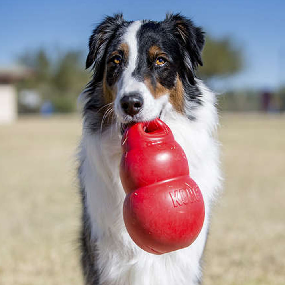 Foto-do-produto-Brinquedo-Interativo-Caes-Kong-Bouzer-X-Large-no-petshop-online-da-Tudo-de-Bicho