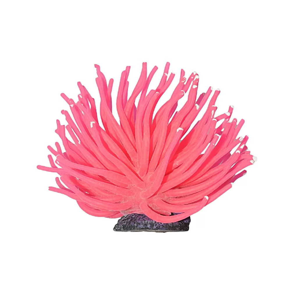 Foto-do-produto-Enfeite-Aquario-Anemona-Short-Soma-Rosa-11cm-no-petshop-online-da-Tudo-de-Bicho