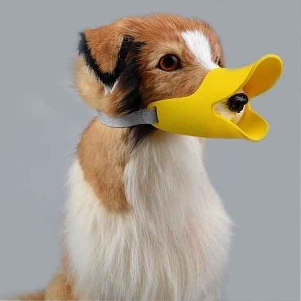 Foto-do-produto-Focinheira-Caes-The-Pets-Plastica-Bico-De-Pato-Tam.M-no-petshop-online-da-Tudo-de-Bicho