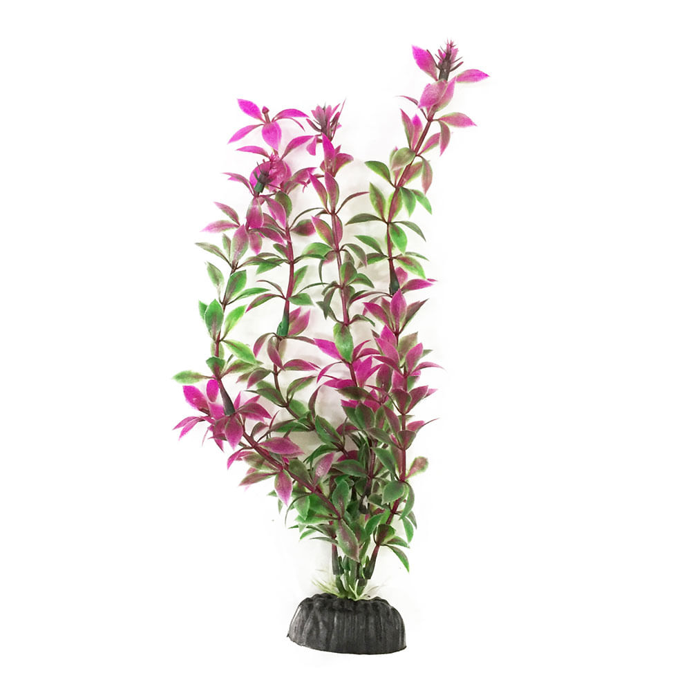 Foto-do-produto-Planta-Artificial-Economy-Soma-20cm-Roxa--mod.433--no-petshop-online-da-Tudo-de-Bicho