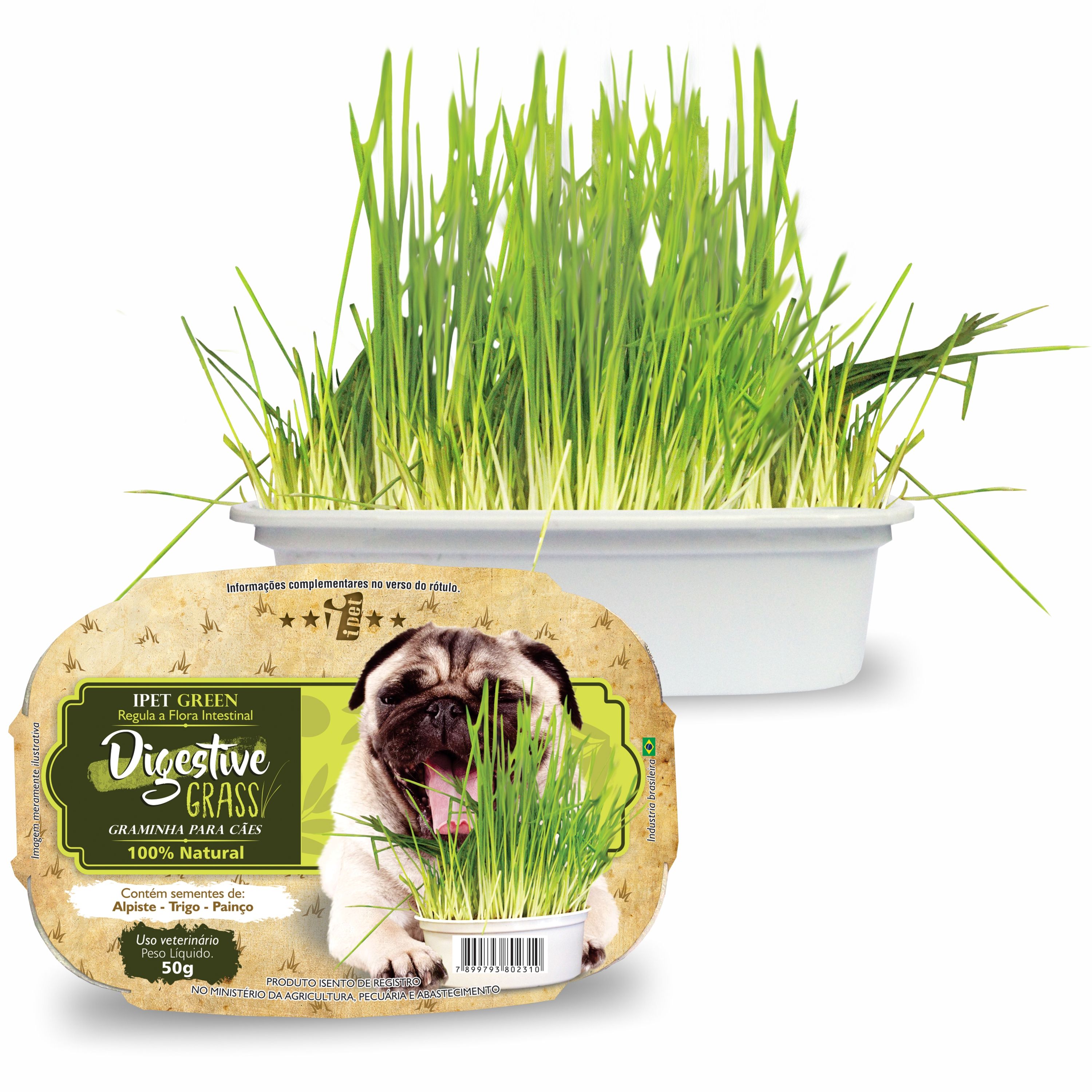 Foto-do-produto-Graminha-para-Caes-Green-Digestive-Grass-Ipet-50g-no-petshop-online-da-Tudo-de-Bicho