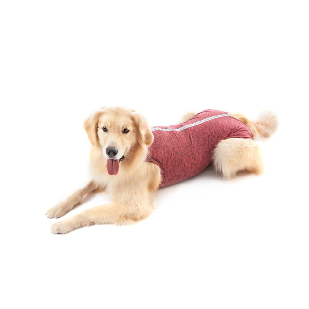 Foto-do-produto-Roupa-Pos-Cirurgica-Regular-Duo-Dry-Rosa-Pet-Med-6-no-petshop-online-da-Tudo-de-Bicho