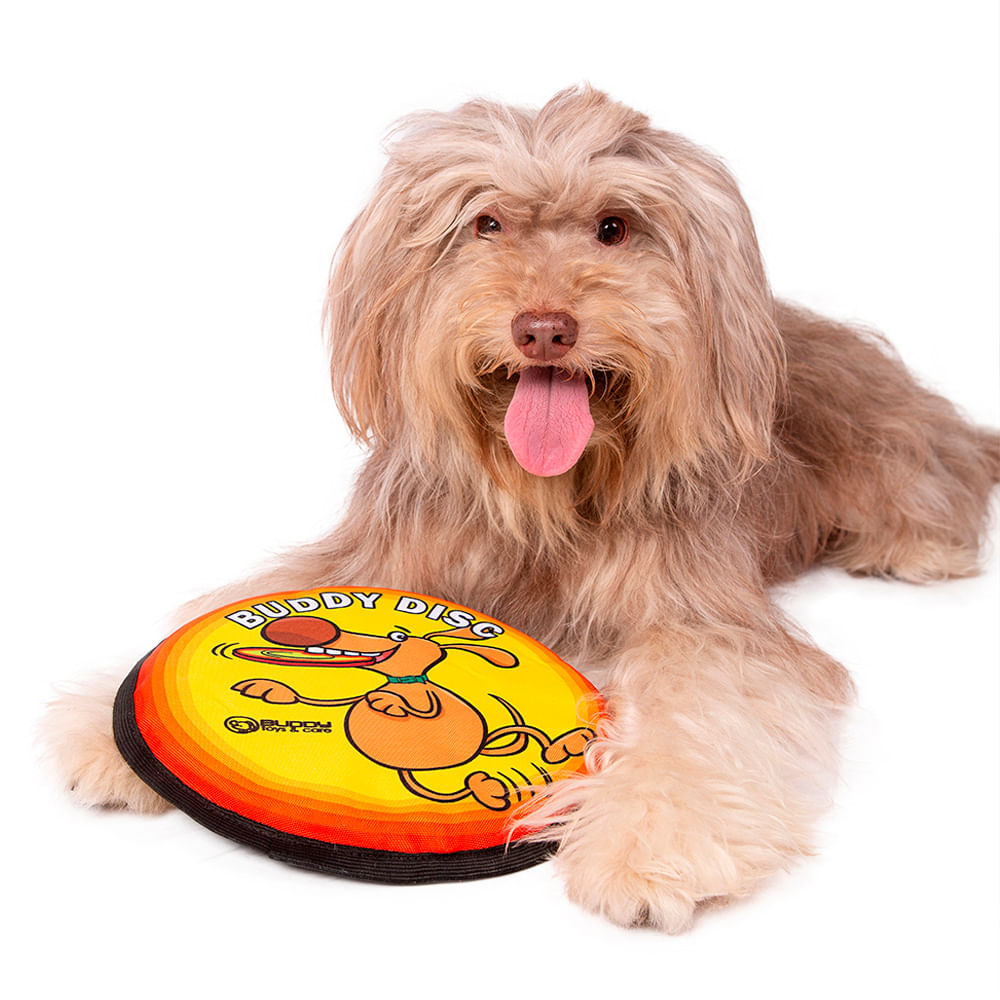 Foto-do-produto-Brinquedo-Frisbee-de-Espuma-Caes-Buddy-Toys-no-petshop-online-da-Tudo-de-Bicho