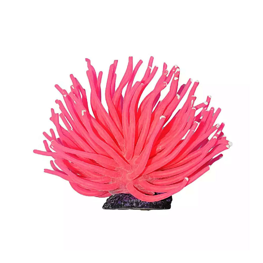 Foto-do-produto-Enfeite-de-Silicone-Anemona-Short-Rosa-Soma-6-Cm-no-petshop-online-da-Tudo-de-Bicho