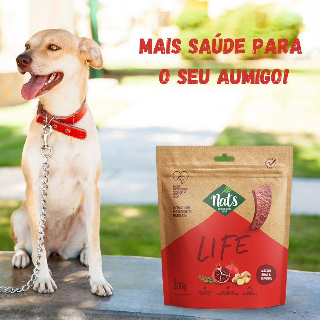 Foto-do-produto-Bifinho-Caes-Nats-Natural-NatLife--300g-no-petshop-online-da-Tudo-de-Bicho