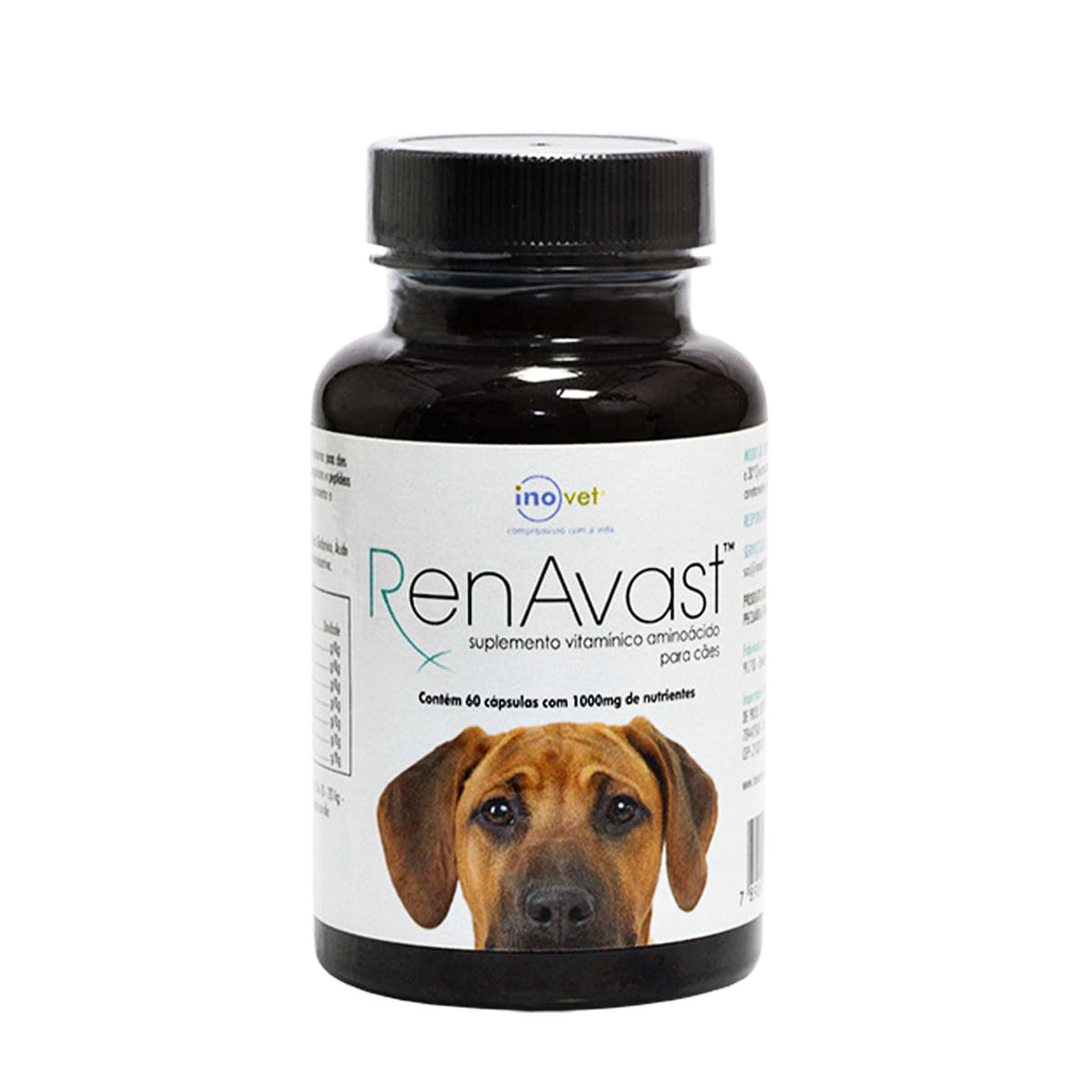 Foto-do-produto-Suplemento-Alimentar-RenAvast-para-Caes-Inovet-60-Capsulas-no-petshop-online-da-Tudo-de-Bicho