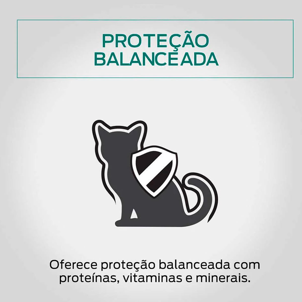 Foto-do-produto-Racao-Umida-Nestle-Purina-Gatos-Pro-Plan-Kitten-Frango-Sache-85g-no-pet-shop-online-da-Tudo-de-Bicho