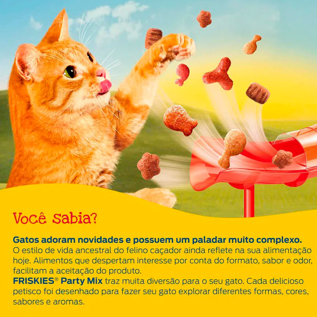 Foto-do-produto-Petisco-Friskies-Gatos-Camarao-40g-no-pet-shop-online-da-Tudo-de-Bicho