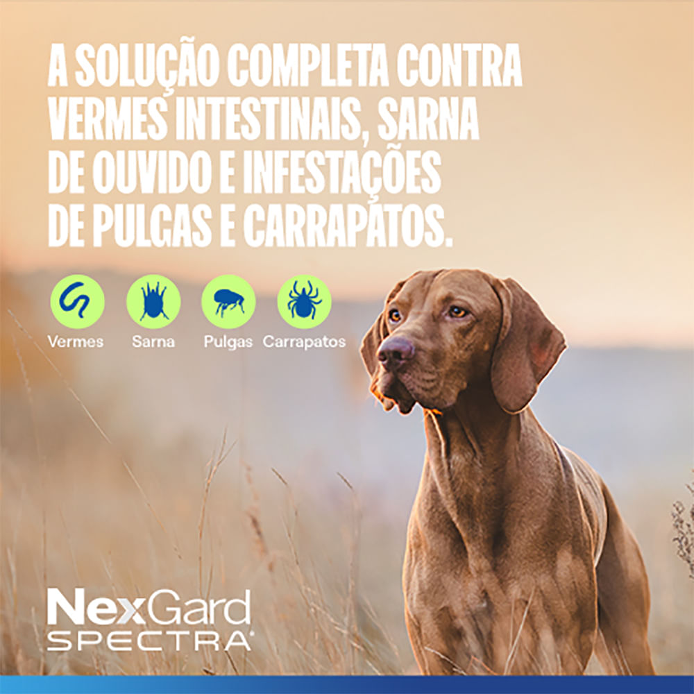 Foto-do-produto-Antipulgas-e-Carrapatos-Nexgard-Spectra-com-3-Tabletes-para-Caes-de-76-a-15kg-no-pet-shop-online-da-Tudo-de-Bicho